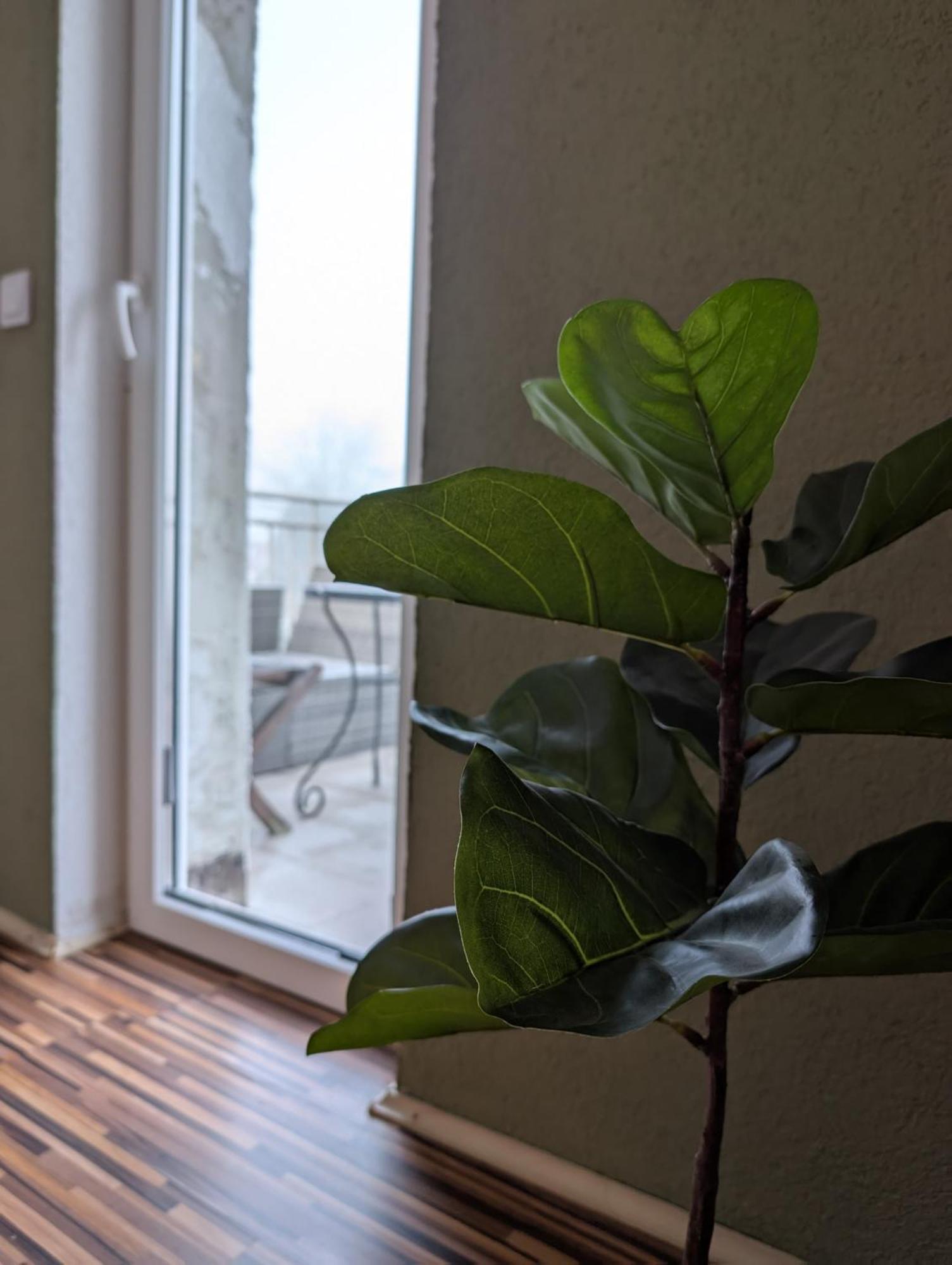 Maisonettewohnung Am Badesee Bei Kassel Ahnatal Zewnętrze zdjęcie